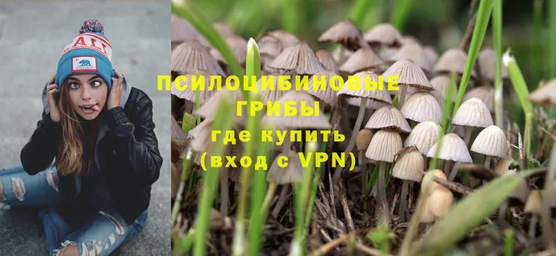 Галлюциногенные грибы Magic Shrooms  где купить наркоту  Томск 